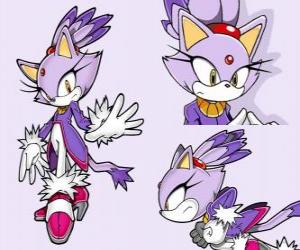 yapboz Blaze Kedi, bir prenses ve Sonic arkadaşlarından biri